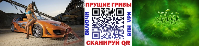 Псилоцибиновые грибы Psilocybe МЕГА зеркало Боровичи