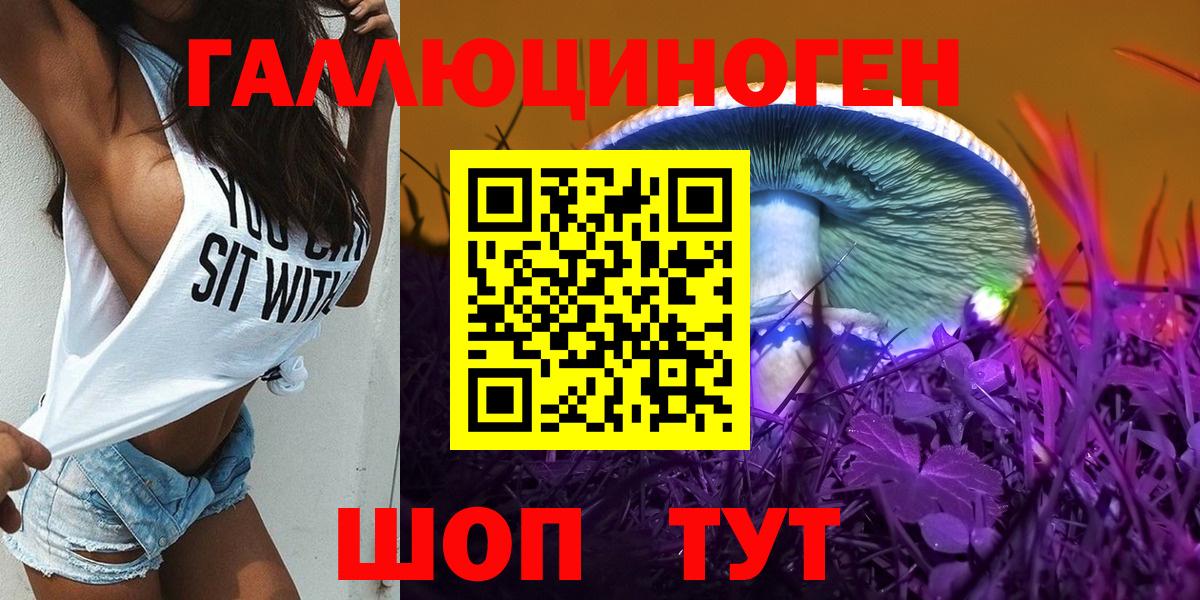 Галлюциногенные грибы Psilocybe Боровичи