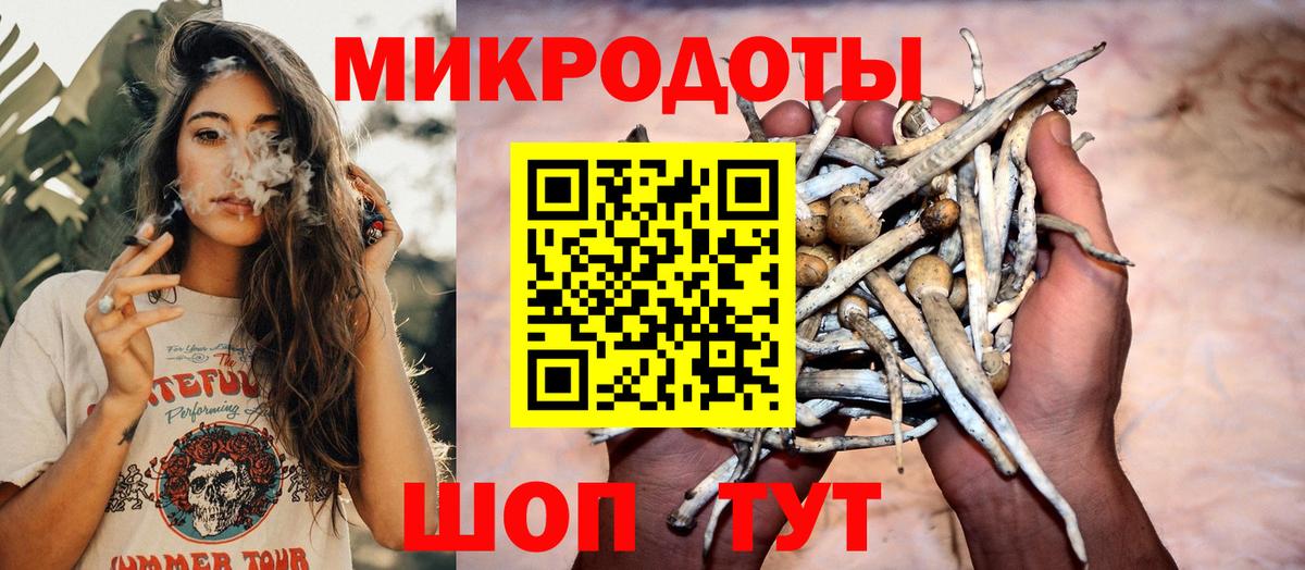 Псилоцибиновые грибы мицелий Боровичи