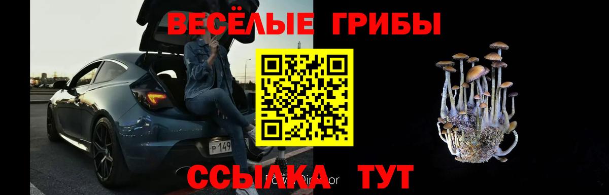 Галлюциногенные грибы Psilocybe  Вход с VPN  Боровичи 
