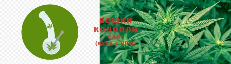 купить закладку  Боровичи  Канабис White Widow 